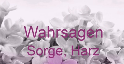 Wahrsagen Sorge, Harz | Top-Experten für Kartenlegen, Wahrsagen, Hellsehen, Zukunftsdeutung. Wahrsagen Sorge, Harz | Top-Experten für Kartenlegen, Wahrsagen, Hellsehen, Zukunftsdeutung.